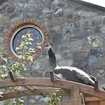 #3 The Stone House At Alensgrove