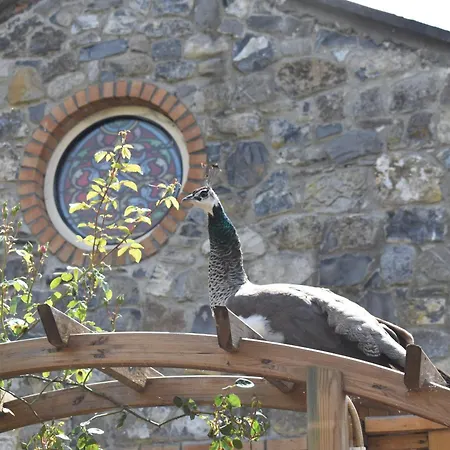 #3 The Stone House At Alensgrove